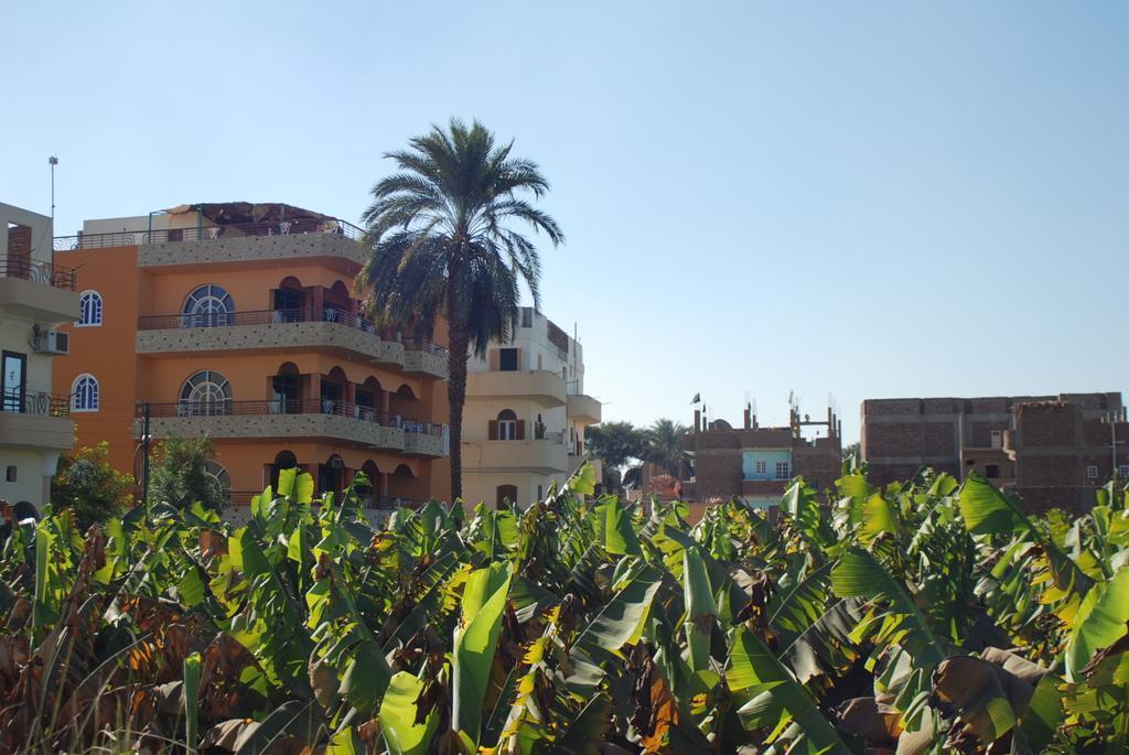 Al Gezera Apartments Luxor Phòng bức ảnh